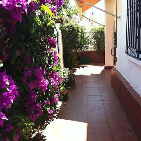 Alamos 木屋 托雷莫利诺斯